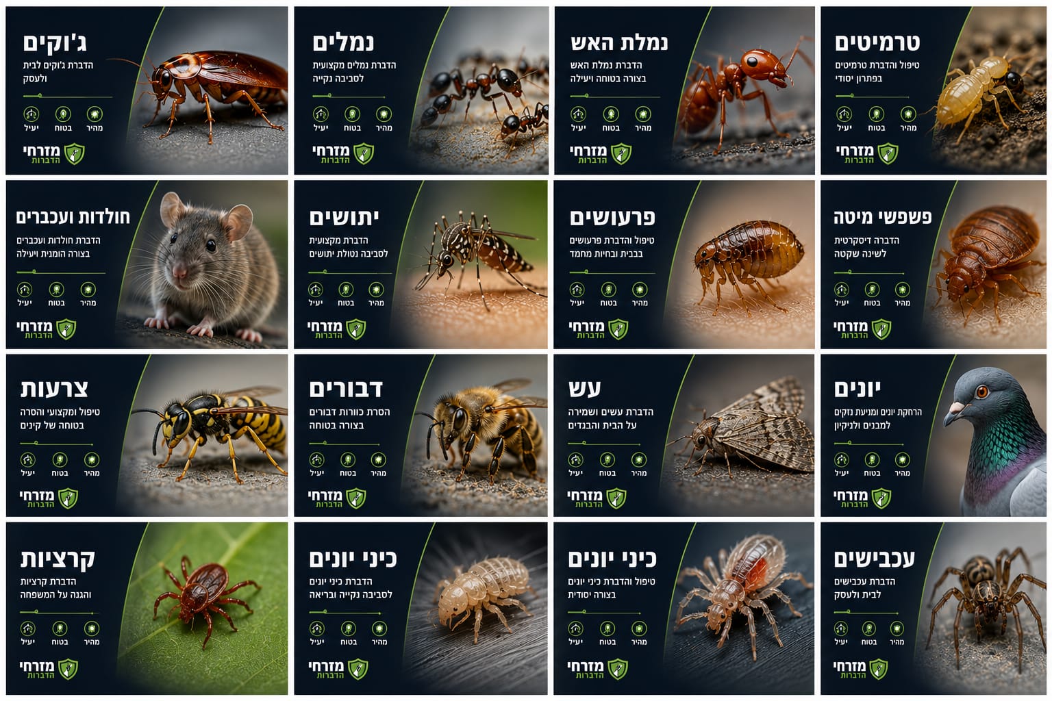 כל סוגי הדברת המזיקים – מזרחי הדברות
