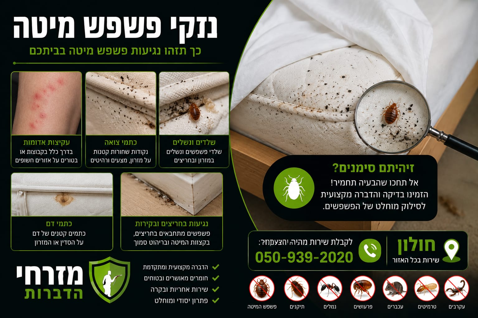 הדברת פשפשי מיטה בראשון לציון – מזרחי הדברות