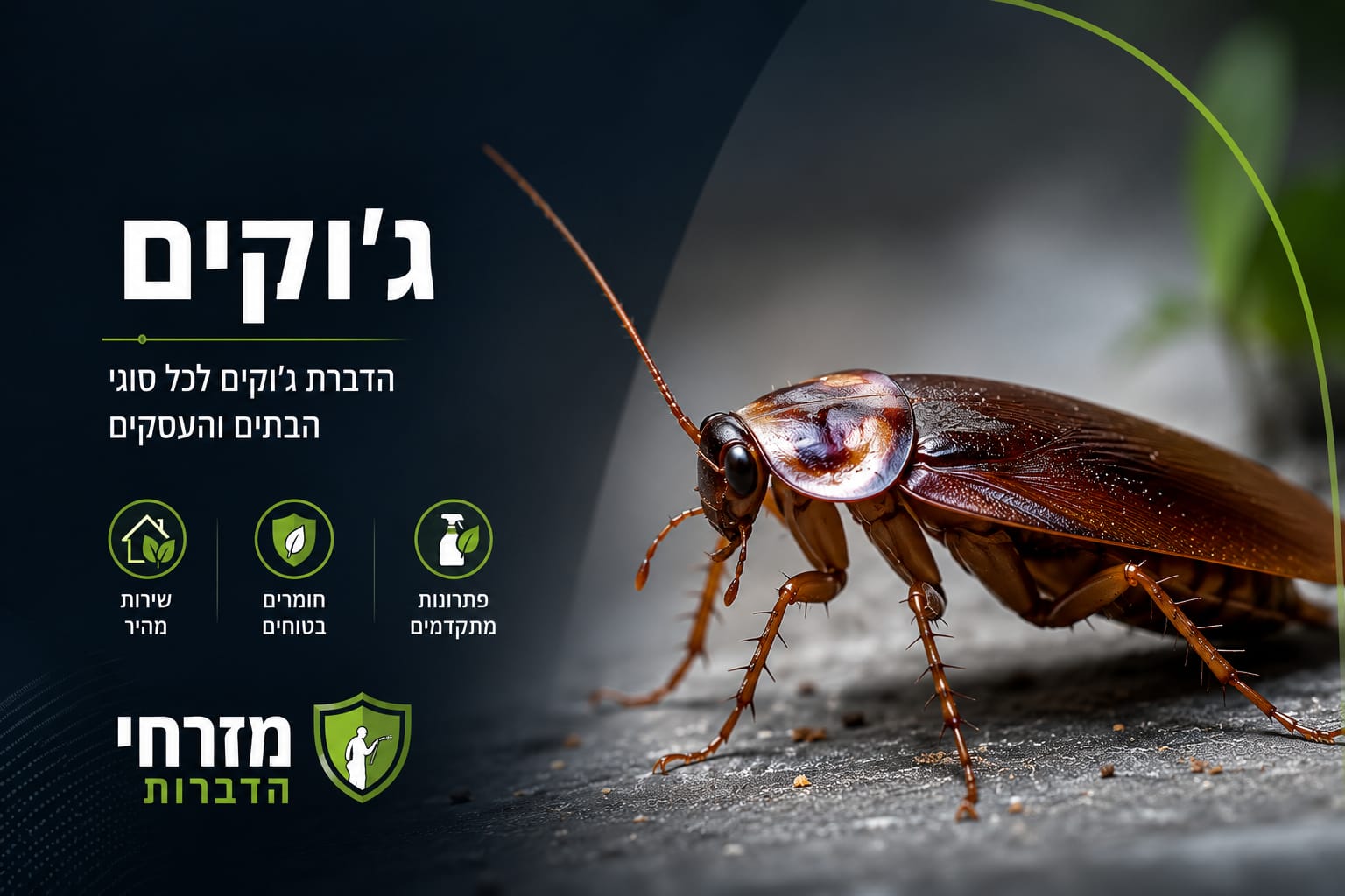 סוגי ג'וקים בישראל – תיקן גרמני, אמריקאי ומזרחי