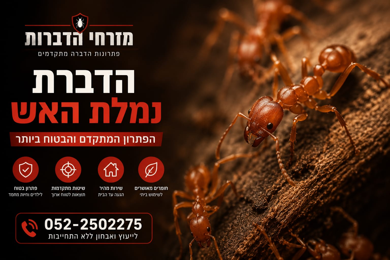 עקיצת נמלת האש – טיפול ומניעה מזרחי הדברות