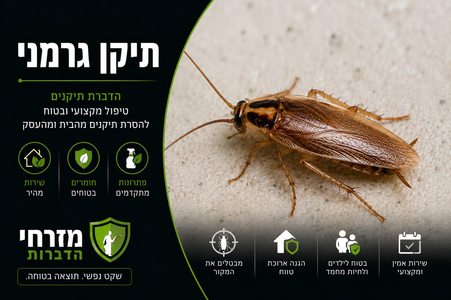 הדברת ג'וקים בחולון – טיפול מקצועי מזרחי הדברות