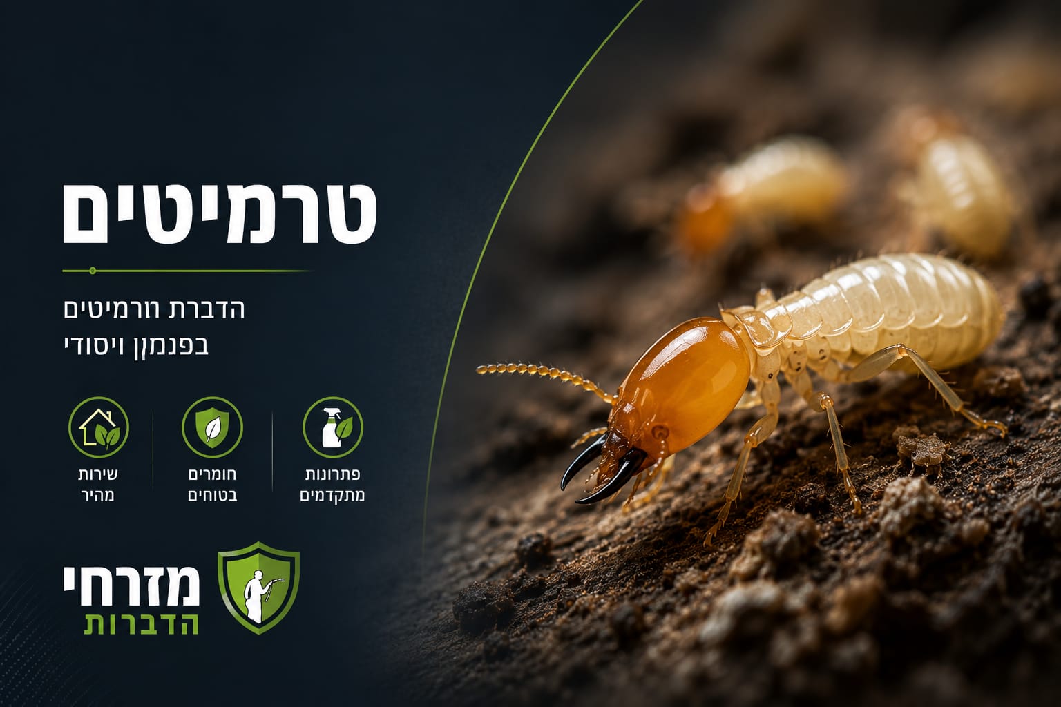 סוגי טרמיטים בישראל