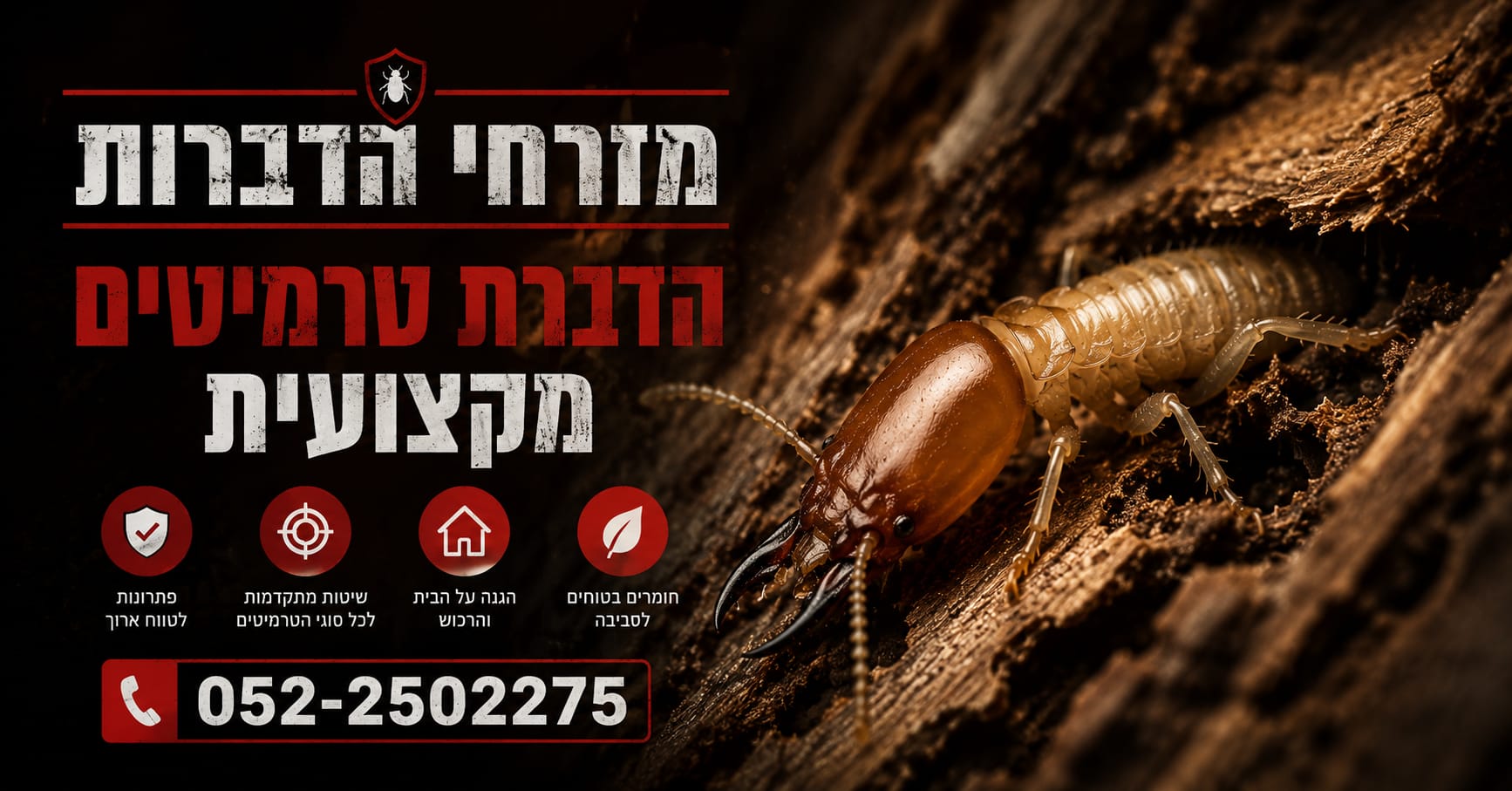 מזרחי הדברות – הדברת טרמיטים מקצועית
